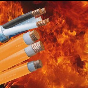 Cáp chống cháy CADIVI CXV/FR