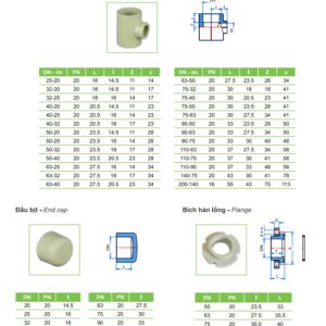 Ống nhựa và Phụ kiện PPR TIỀN PHONG