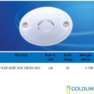 Phụ kiện ống điện PVC Sam Phú